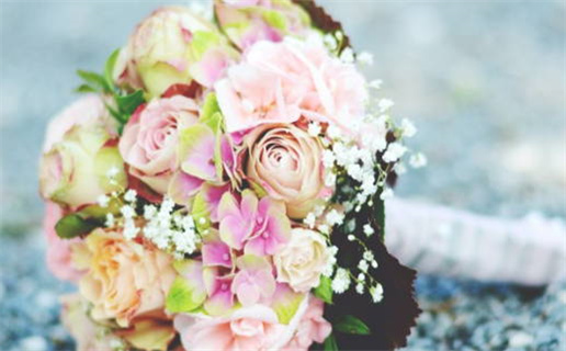 龙珠GT经典回顾揭秘角色与剧情发展