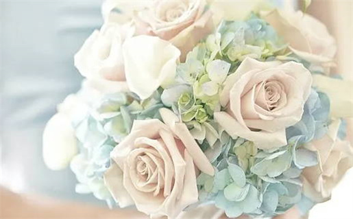 农夫偷香记揭示爱情与冒险的奇幻旅程