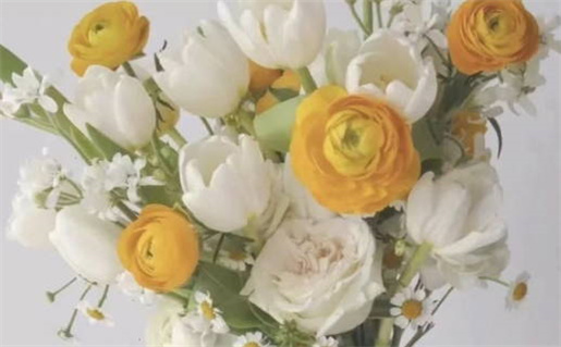 电影《强我》_电影《强我》剧情介绍