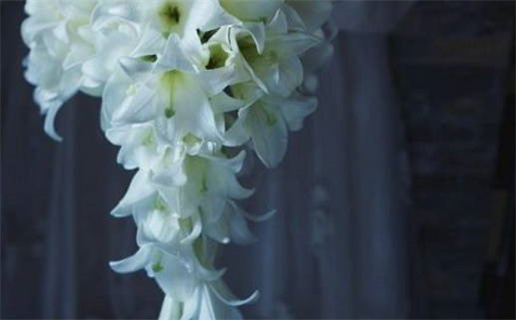 辣妹天使1998经典回顾青春热血与友情碰撞