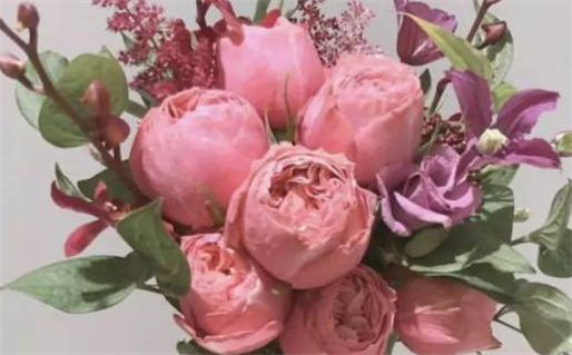 电影《一代女皇艳史》_电影《一代女皇艳史》免费观看