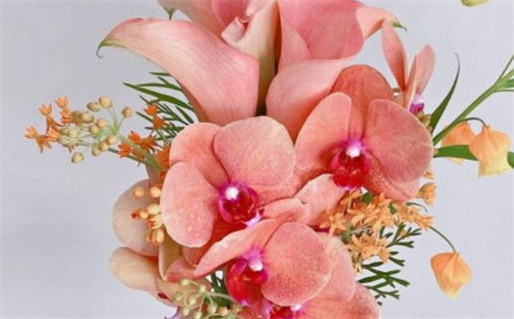 黑太阳电影解析揭示阴暗人性与情感纠葛